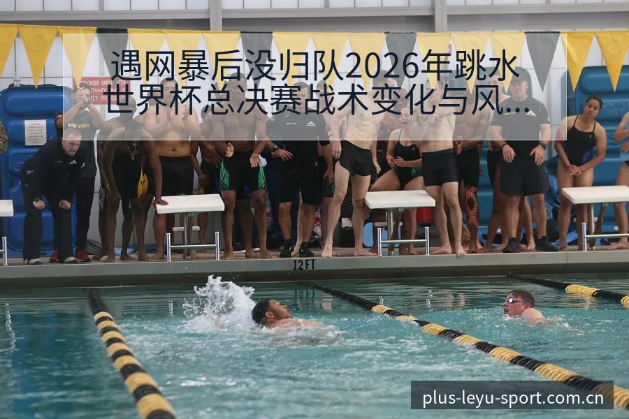遇网暴后没归队2026年跳水世界杯总决赛战术变化与风险点 - 乐鱼APP